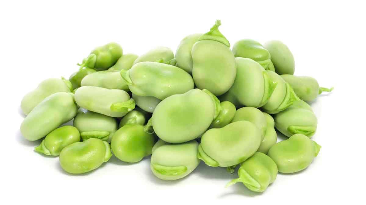 فول مثلج 500غ